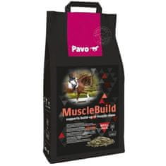 Pavo Muscle Build 3 kg NOVA vrečka