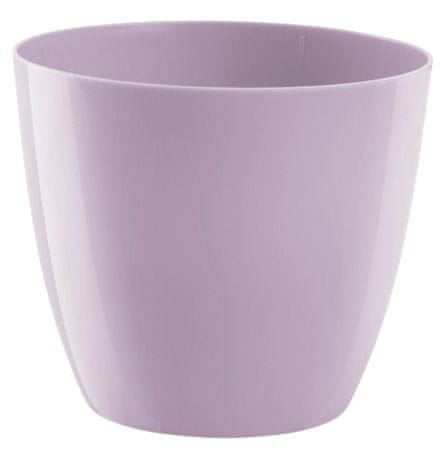 Embalaža Ella - sijoča sivka 25 cm