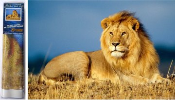 Norimpex Diamantna slika Lion Majesty 30x40cm