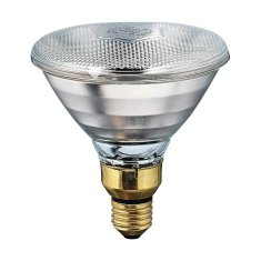 Edm Žarnica Philips E27 175 W