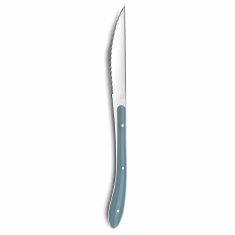 NEW Namizni nož Amefa Bistro Kovina Dvobarvna (23 cm) (Pack 6x)