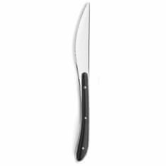 NEW Namizni nož Amefa Bistro Kovina Dvobarvna (23 cm) (Pack 6x)