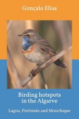 Birding hotspots in the Algarve: Lagoa, Portim?o and Monchique