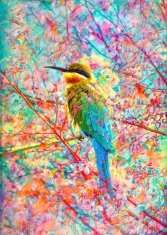 ENJOY Puzzle Happy bird 1000 kosov
