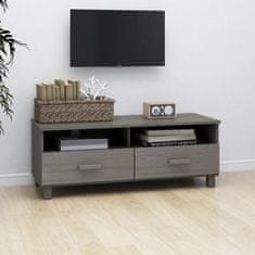 Vidaxl TV omarica HAMAR svetlo siva 106x40x40 cm trdna borovina