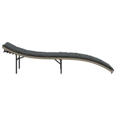 Vidaxl Ležalnik z blazino svetlo siv 55x199x50 cm poli ratan