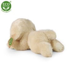 Rappa Plišasti labradorec 20 cm EKO-prijazno