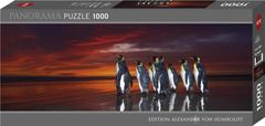 Heye Kraljevi pingvini Panoramska sestavljanka 1000 kosov