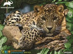 PRIME 3D Puzzle Živalski planet: Ogrožene vrste - Jaguar 3D 100 kosov
