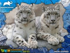 PRIME 3D Puzzle Živalski planet: Ogrožene vrste - Snežni leopardi 3D 100 kosov