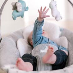 Ingenuity Chadwick pametni gugalnik z melodijo 0m+ do 9 kg, 2019