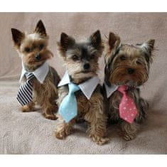 Gentledog kravata za pse roza oblačila velikost S