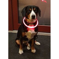 Svetleča svetleča ovratnica za pse oranžna dolžina 70 cm
