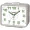 Casio TQ-218-8EF (107)