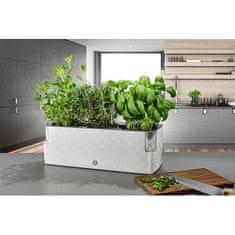 Plastkon Cobble Trio samoplačniška sadilna posoda antracitna različica 41050