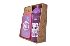 Komplet škatle in steklenice R&B Owl 700ml