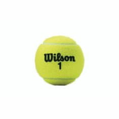 NEW Žogice za tenis Wilson Championship XD (3 pcs)