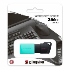 NEW Ključ USB Kingston DataTraveler DTXM 256 GB 256 GB