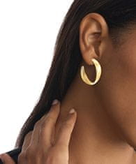 Calvin Klein Modni pozlačeni obročasti uhani iz eteričnih kovin 35000534