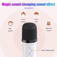 Hitelektro Aku. 2000mAh FM karaoke zvočnik Bluetooth 5.3 2x mikrofon LED RGB