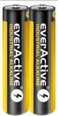 Aga baterija EverActive Industrial Alkaline LR03 AAA 1 kos
