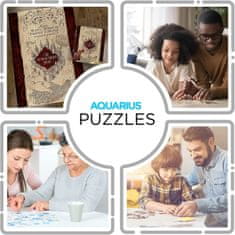 Aquarius Puzzle Harry Potter: Pobertov načrt 1000 kosov