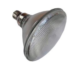 Edm Žarnica Philips E27 175 W