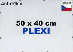 BFHM Okvir sestavljanke Euroclip 50x40cm (antirefleksno pleksi steklo)