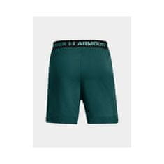 Under Armour Hlače obutev za trening zelena 188 - 192 cm/XL 1373718449