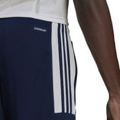 Adidas adidas Squadra 21 M hlače za trening HC6273
