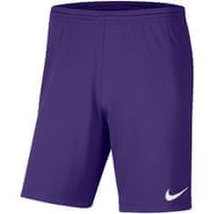 Nike Nike Dry Park III NB K Jr kratke hlače BV6865 547