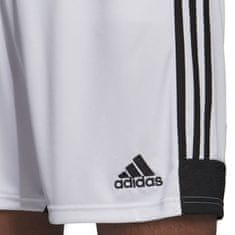Adidas adidas Tastigo 19 kratke hlače M DP3247