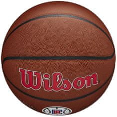 Wilson Žoga Wilson Team Alliance Los Angeles Clippers WTB3100XBLAC