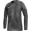 Nike Nike Gardien IV Vratarska majica JSY M DH7967 060