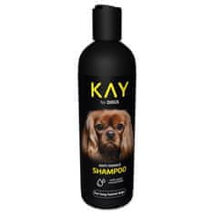 KAY šampon proti licem 250ml