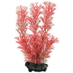 Tetra Dekoracija Rastlina Foxtail Red S 15cm