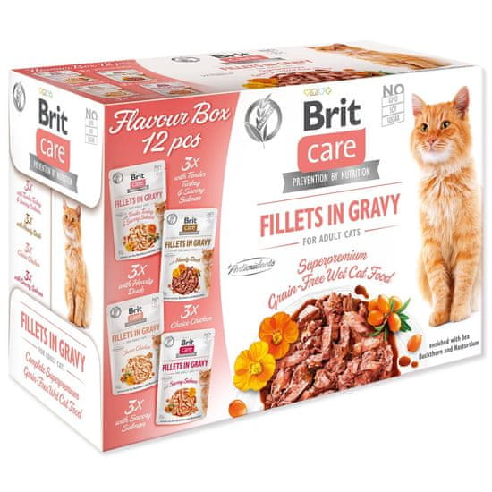 Brit Care Cat Flavour box fileti v omaki Multi 12x85g