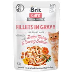 Brit Care Cat puran in losos, fileti v omaki 85g