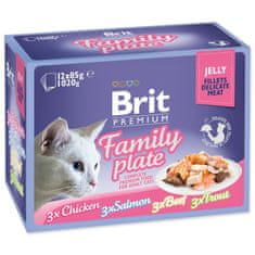 Brit Premium Cat Delicate Family Plate, fileti v želeju Multi 1020g (12x85g)