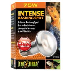 EXO TERRA Žarnica Intense Basking Spot 75W