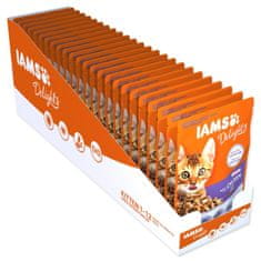 IAMS Kapsula Delights Kitten piščanec v omaki 85g