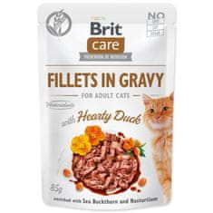 Brit Care Cat raca, fileji v omaki 85g