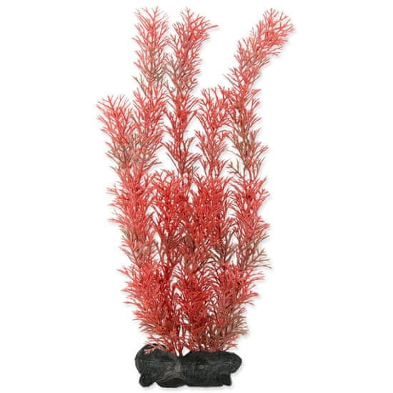 Tetra Dekoracija Rastlina Foxtail Red L 30cm