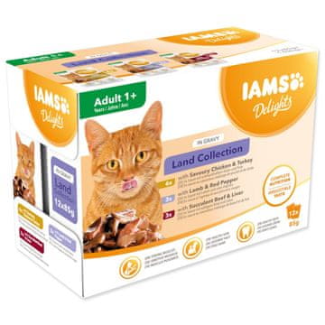 IAMS Cat Adult suho meso v omaki v večpakovem pakiranju 12x85g