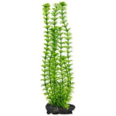 Tetra Dekoracija Plant Ambulia L 30cm