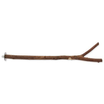 Ptica Jewel lesena naravna 40cm