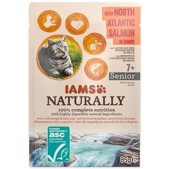IAMS Cat Senior losos v omaki žepek 85g