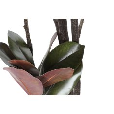 DKD Home Decor Drevo DKD Home Decor Poliester polipropilen Magnolija drevo (75 x 75 x 180 cm)