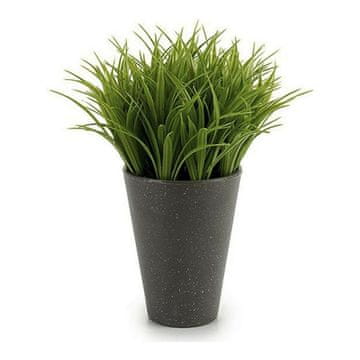 BigBuy Okrasne rastline 8430852735119 Plastika (9 x 18 x 9 cm) (11 x 18 x 11 cm)