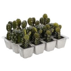 Mica Decorations Okrasne rastlinske dekoracije iz sljude 14 cm Kaktus zelena PVC